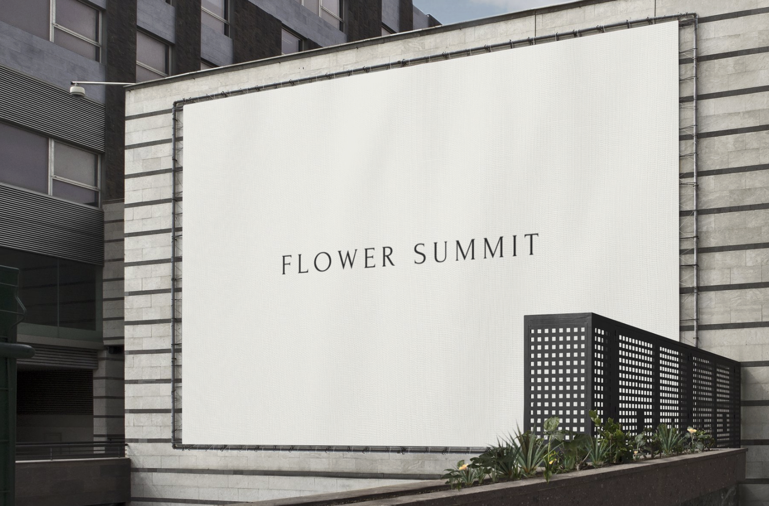 Business Brother portfolio